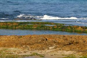 côte de la mer méditerranée dans le nord d'israël. photo