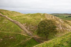 Un arbre qui pousse entre deux collines sur un mur romain dans le Northumberland photo