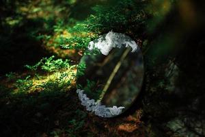 miroir rond avec dentelle avec reflet de branches de pin dans la forêt photo