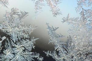 flocons de neige, givre, givre, macro, sur, fenêtre, vitre photo