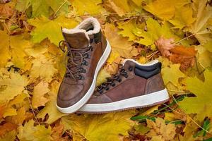 paire de chaussures chaudes pour hommes sur des feuilles d'oranger. photo