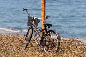 vélo dans le parc de la ville près de la mer. photo