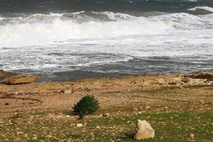 côte de la mer méditerranée dans le nord d'israël. photo