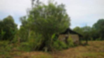 une cabane dans une ferme photo