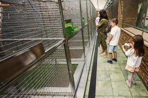 mère avec enfants visite le zoo de perroquets en journée ensoleillée. photo