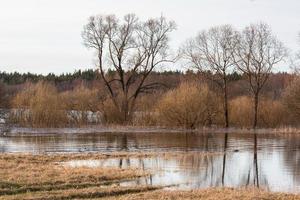 prairies inondées au printemps photo
