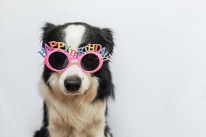 concept de fête de joyeux anniversaire. Funny cute puppy dog border collie portant des lunettes stupides d'anniversaire isolés sur fond blanc. chien de compagnie le jour de l'anniversaire. photo