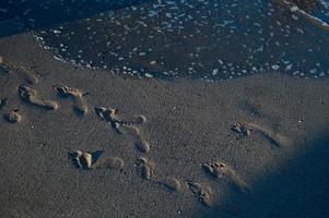 des pas dans le sable sur la plage, la plage de sable, les vagues de la mer. photo