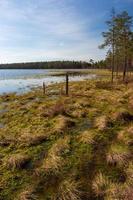 printemps dans les lacs des marais photo