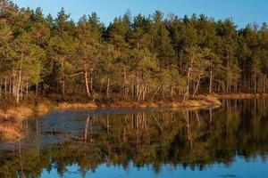 printemps dans les lacs des marais photo