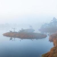 printemps dans les lacs des marais photo