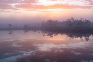 printemps dans les lacs des marais photo