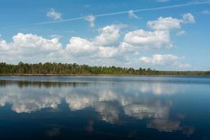 printemps dans les lacs des marais photo