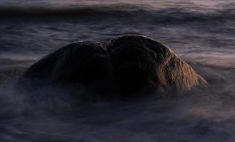 pierres sur la côte de la mer baltique au coucher du soleil photo