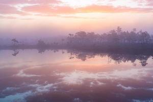 printemps dans les lacs des marais photo