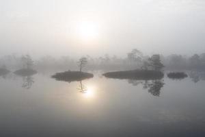 printemps dans les lacs des marais photo