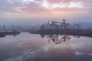 printemps dans les lacs des marais photo