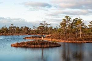 printemps dans les lacs des marais photo