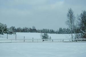 clôture clôture avec filet en hiver. hiver neigeux, beaucoup de neige photo