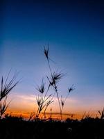 le soleil se lève sur la vaste prairie photo