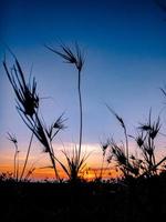 le soleil se lève sur la vaste prairie photo