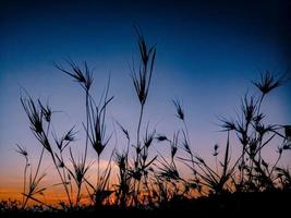 le soleil se lève sur la vaste prairie photo