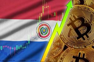 drapeau du paraguay et tendance croissante de la crypto-monnaie avec de nombreux bitcoins dorés photo