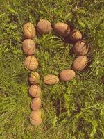 les pommes de terre dans la peau reposent sur l'herbe. lettre p de kartovel, lettres comestibles sur la pelouse. produits du jardin. aliments naturels, produits végétaliens photo