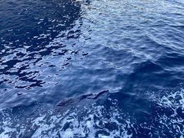 texture du beau fond bleu d'eau salée de mer humide. texture de la mer ou de l'océan, de la rivière ou du lac photo