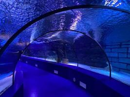 grand beau tunnel de verre rond sous l'eau dans l'aquarium avec différents poissons. concept tourisme, monde marin, plongée photo