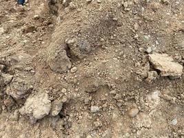 texture de surface de terre ou de sable naturel friable sec jaune. l'arrière-plan photo