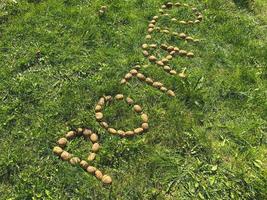 dans la partie supérieure gauche de l'écran, il y a un petit tas de pommes de terre fraîches non pelées photo