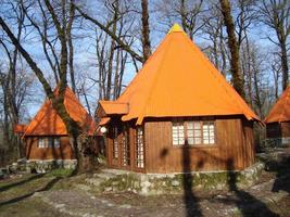 les cabanes en bois dans la jungle photo