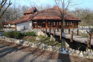 resto dans les bois photo