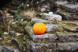 mandarine fraîche sur les marches d'un temple asiatique. Chiang Mai, Thaïlande. photo