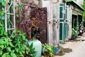 beaucoup de vieilles portes colorées en bois et de plantes en pot dans une rue. Chiang Mai, Thaïlande. photo