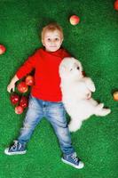 petit garçon souriant de trois ans allongé avec un chiot blanc de samoyède sur l'herbe verte avec des pommes rouges en studio photo