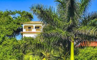 hôtels resorts bâtiments au paradis parmi les palmiers puerto escondido. photo