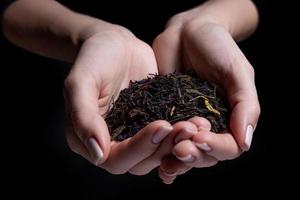 de belles mains féminines tiennent du thé cru non infusé et proposent de l'essayer. feuille de thé sèche à la main. thé avec des additifs de bergamote isolés sur fond noir photo