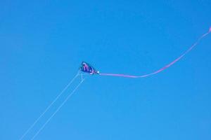 cerf-volant sillonnant et planant dans les airs sous le ciel bleu photo