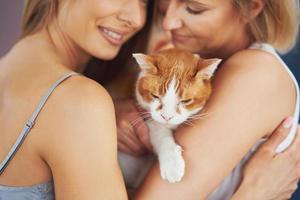 belles deux filles adultes dans la maison avec un chat photo