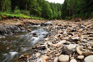 rivière de montagne en été photo