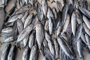 des tas de poissons frais pêchés par les pêcheurs vendus sur les marchés traditionnels photo