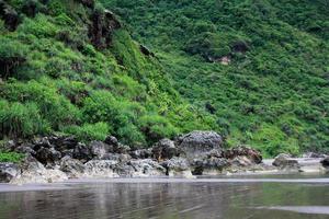 plage aux falaises de corail vert photo