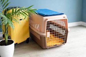 porte-animal en plastique ouvert ou cage pour animal de compagnie et valise jaune sur le sol à la maison, espace pour copie photo