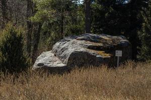 vues printanières de l'île de hiiumaa photo