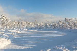 journée d'hiver enneigée dans le marais photo