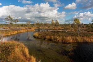 journée d'automne au lac des marais photo