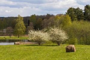 paysages de la campagne lettone au printemps photo