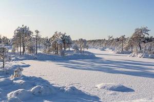 journée d'hiver enneigée dans le marais photo